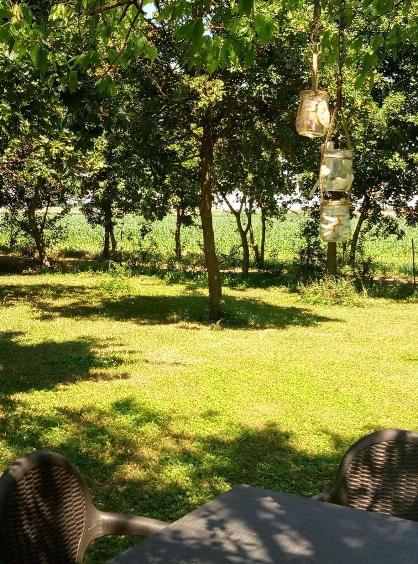 בודירו La Barchessa Country House מראה חיצוני תמונה